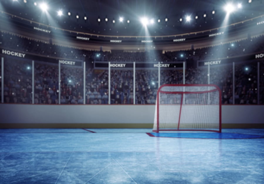 Hockey net in a hockey arena